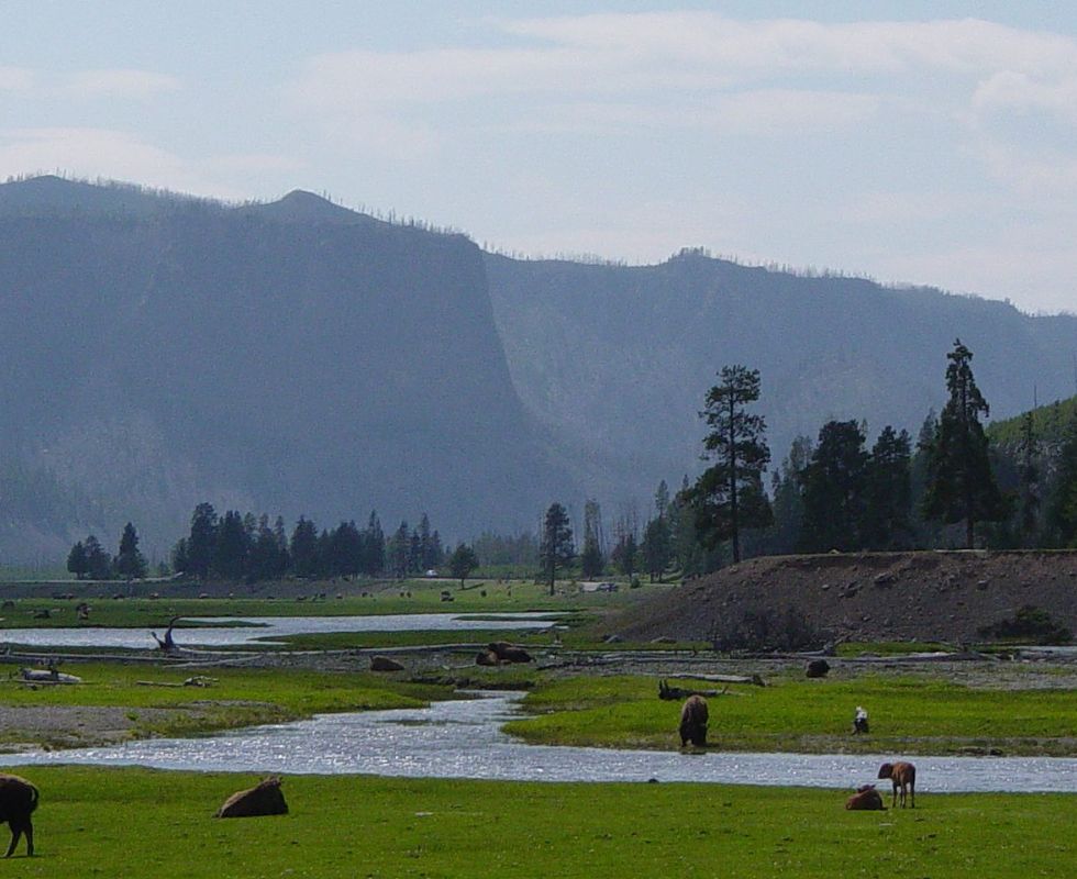 Daniel Mayer, CC BY-SA 3.0 / Wikimedia Commons