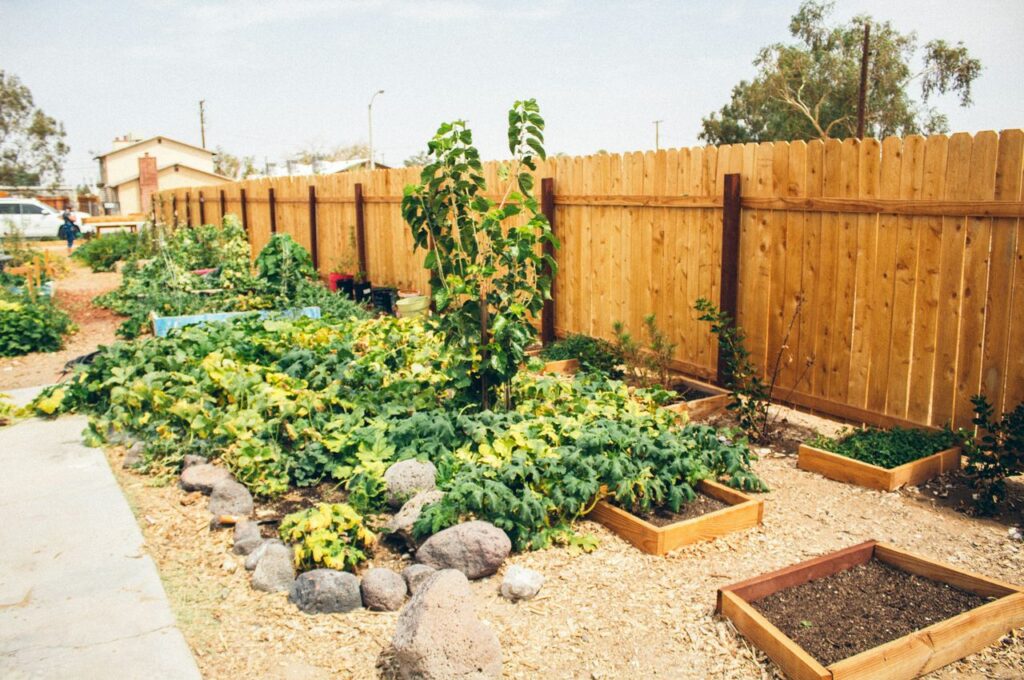 Homegrown Vegetable Gardening: From Seed to Table