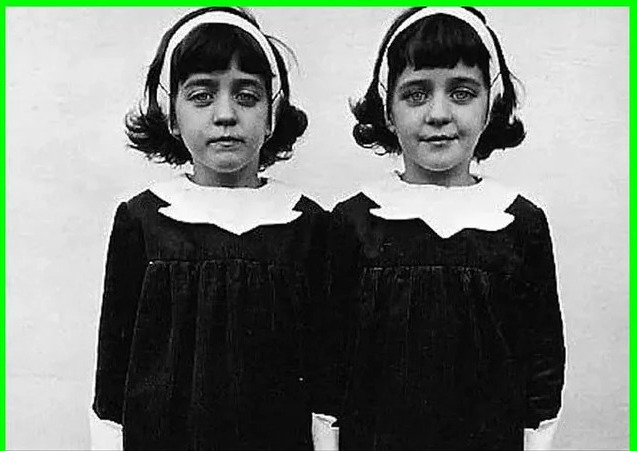 pollock twins