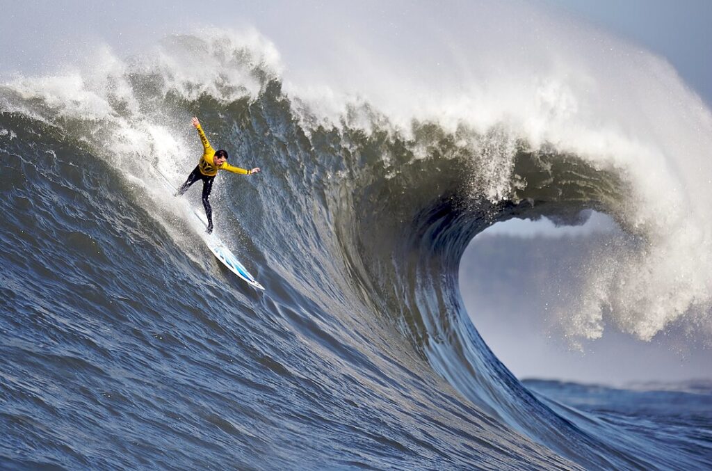 The Rise of Surf Culture