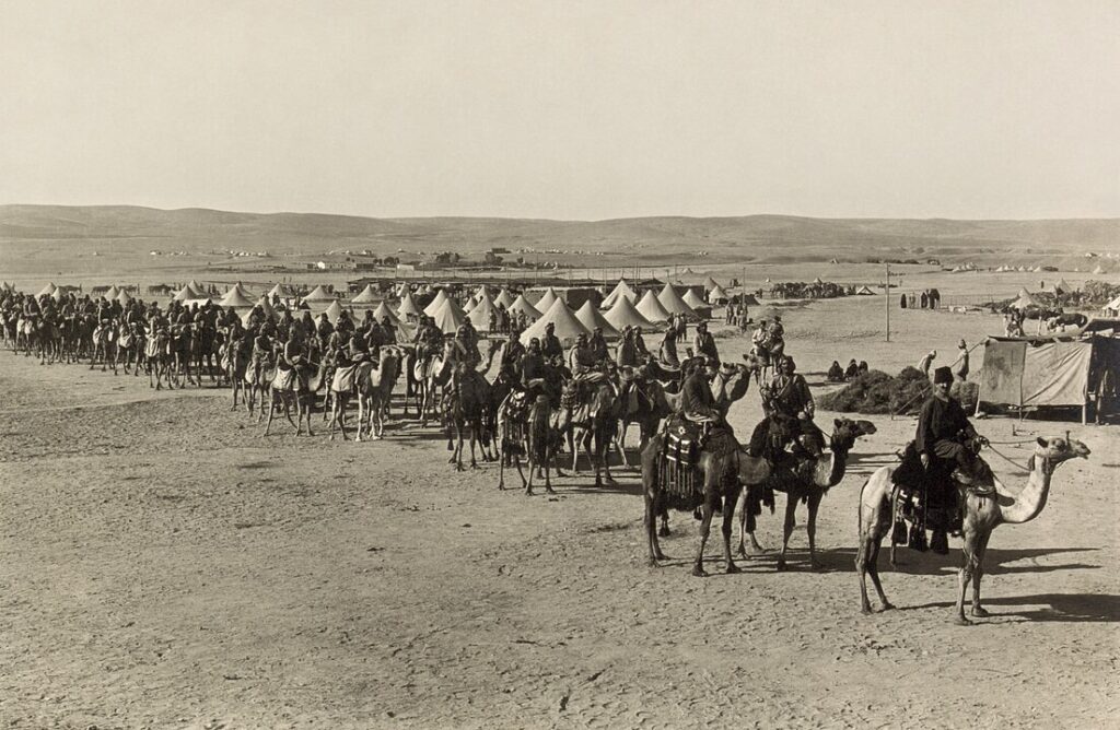 The Camel Corps Experiment