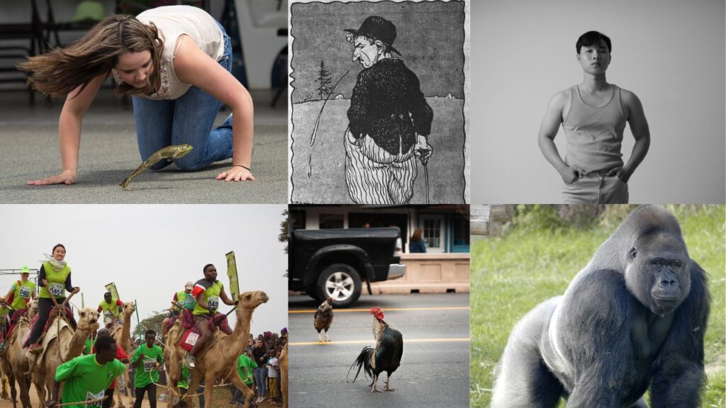 15 U.S. Laws That Sound Fake But Are Still on the Books