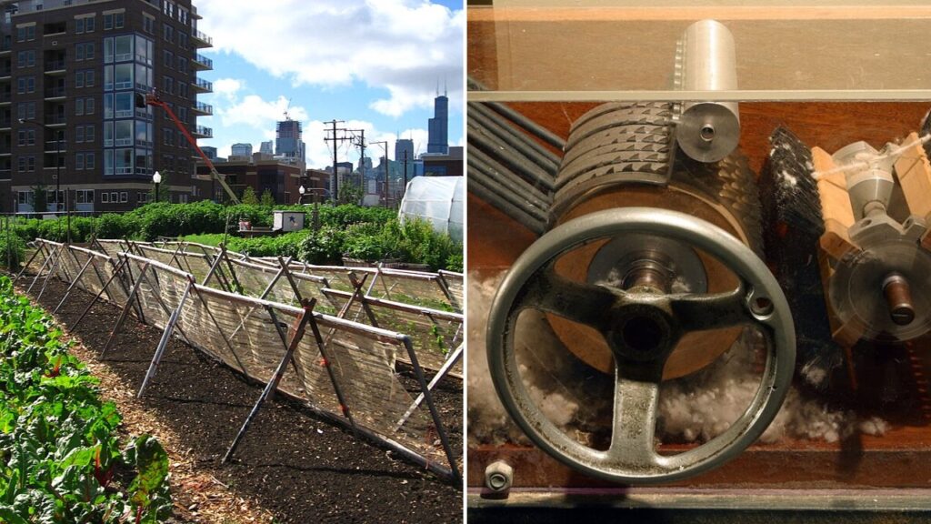 12 Times American Farmers Changed the World