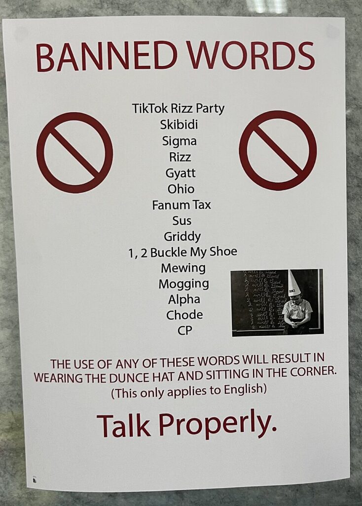 Banned Slang and Colloquialisms