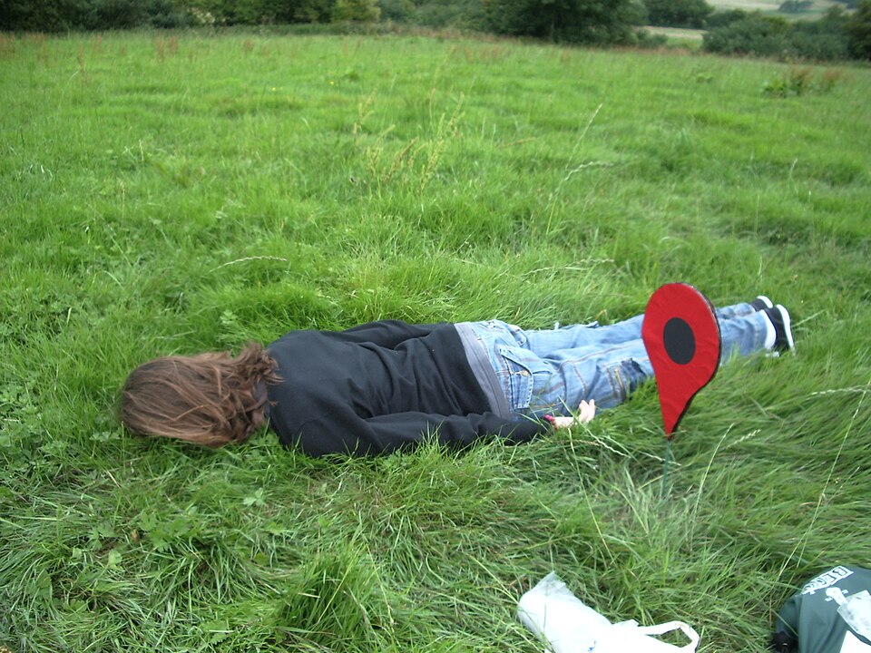 Planking: The Art of Lying Down