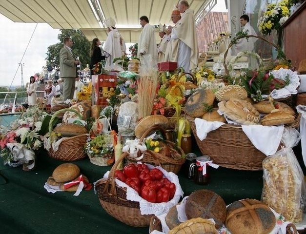 Thanksgiving: A Harvest Celebration