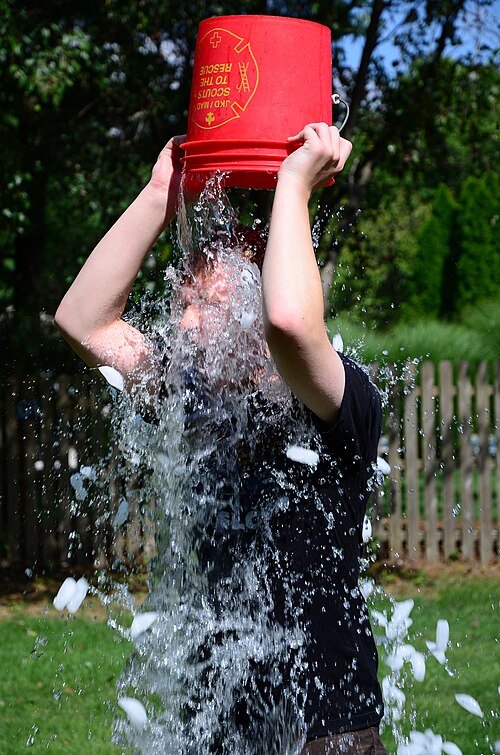 Ice Bucket Challenges: Drenched for a Cause