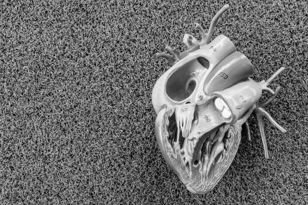 The Artificial Heart