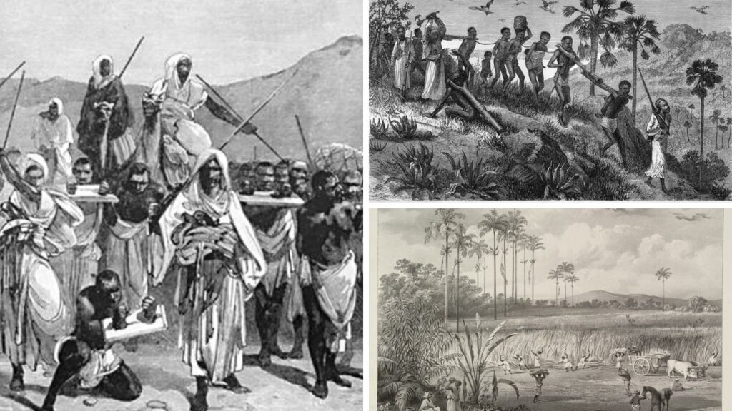 Wikimedia Commons