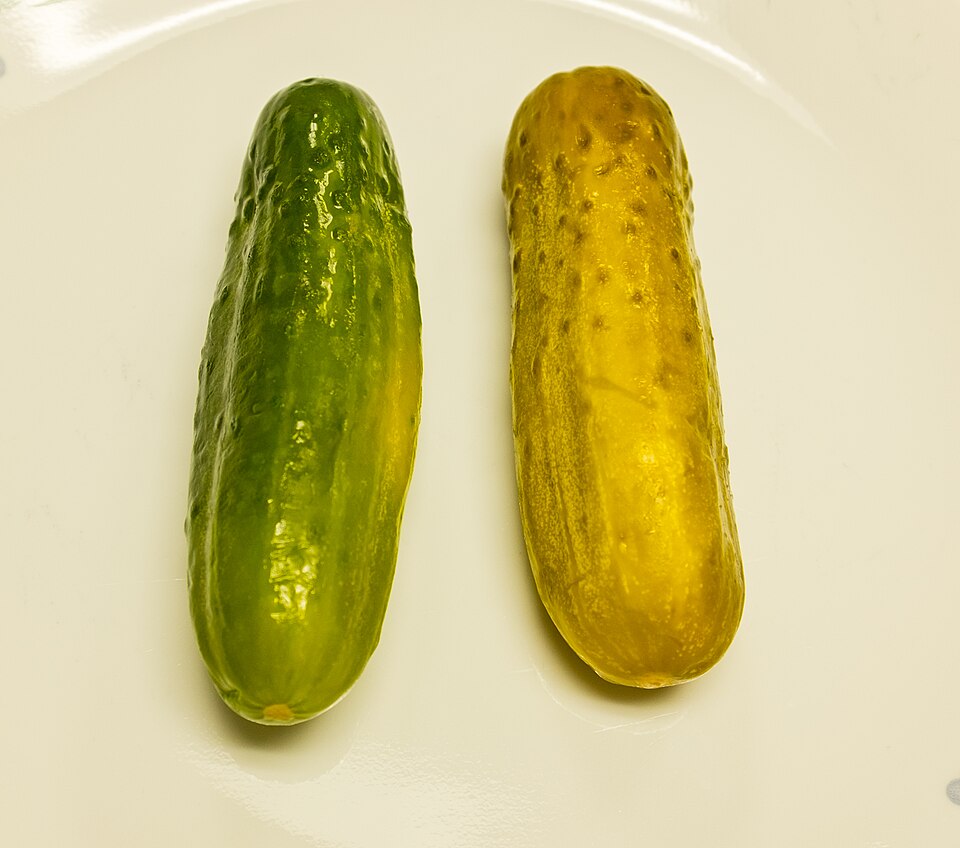 Connecticut's Pickle Bounce Test