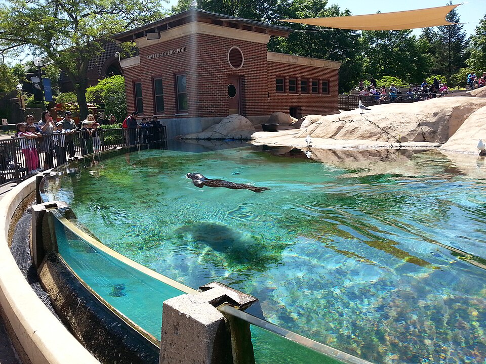 The Mysterious Zoo in Lincoln Park