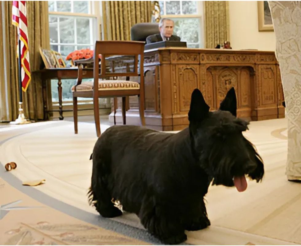 White House photo by Eric Draper, Public Domain / Wikimedia Commons