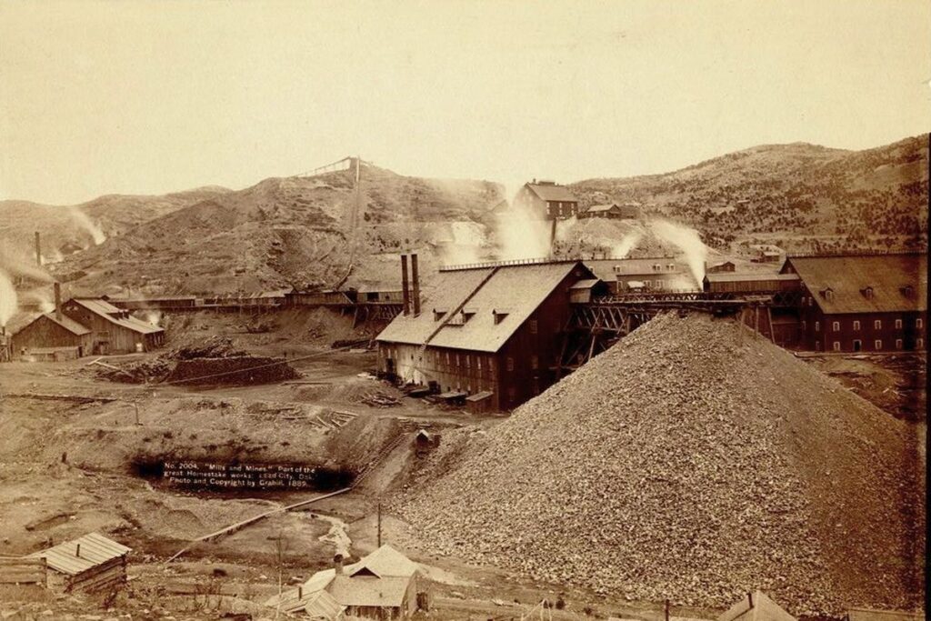 The Black Hills Gold Rush Venture