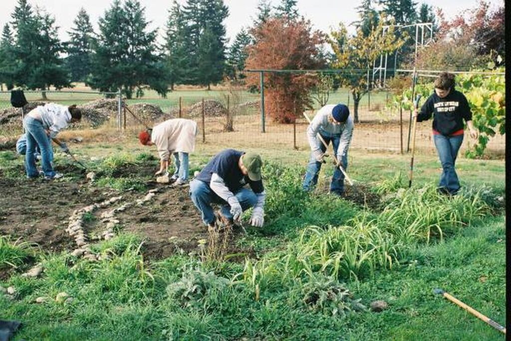 The Role of Community Gardens