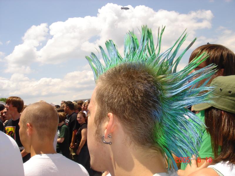 Hair dyed Mohawk
