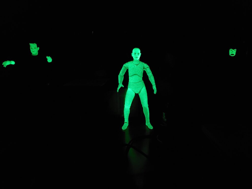 Glow-in-the-Dark Creatures