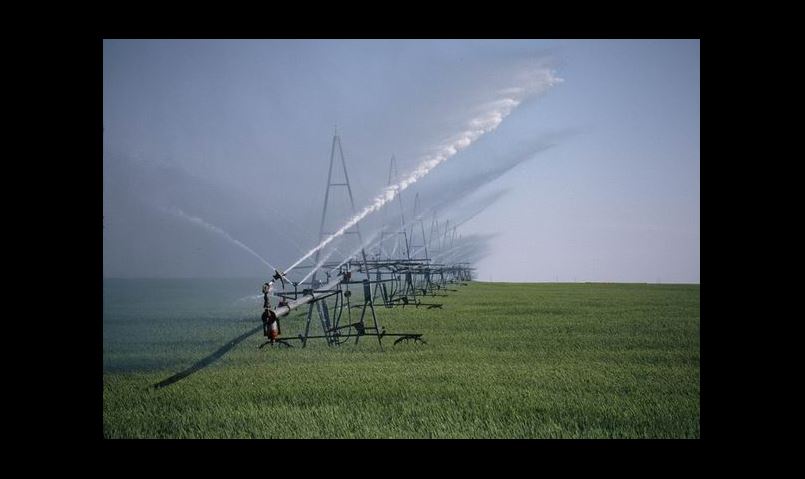 Green Revolution Impacts