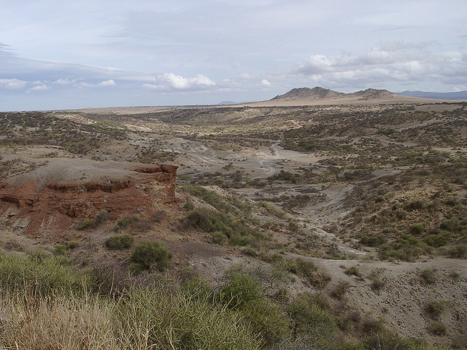 The Olduvai Gorge Skulls: A Lucky Find