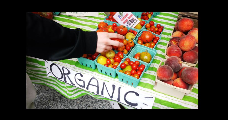 Organic Farming Movement