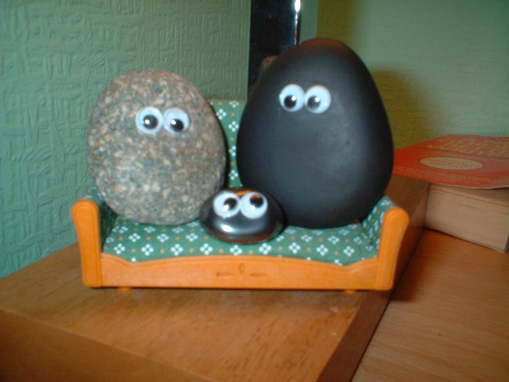 Pet rocks