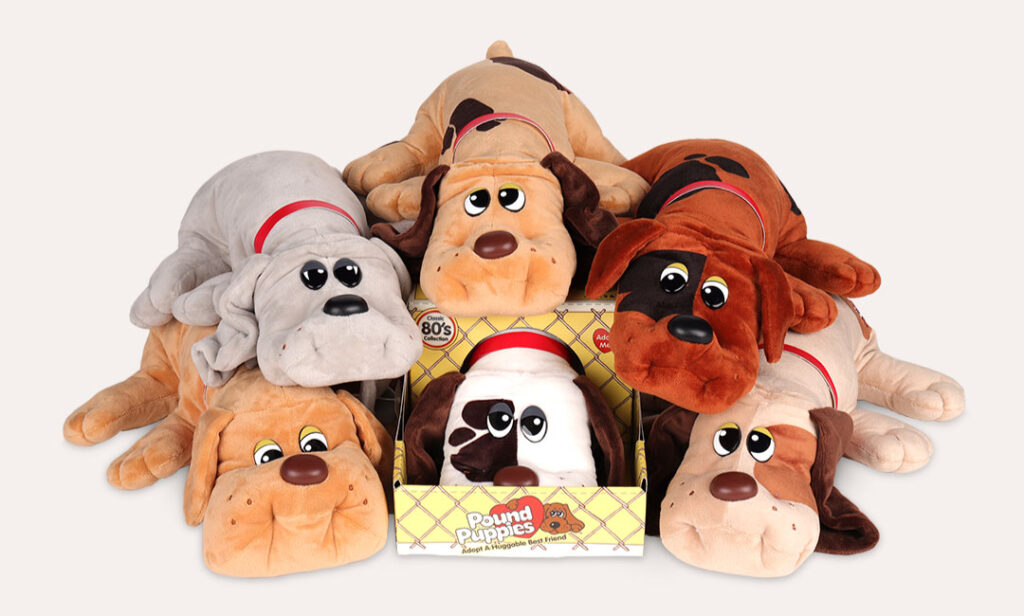 Pound Puppies: Lessons in Care
