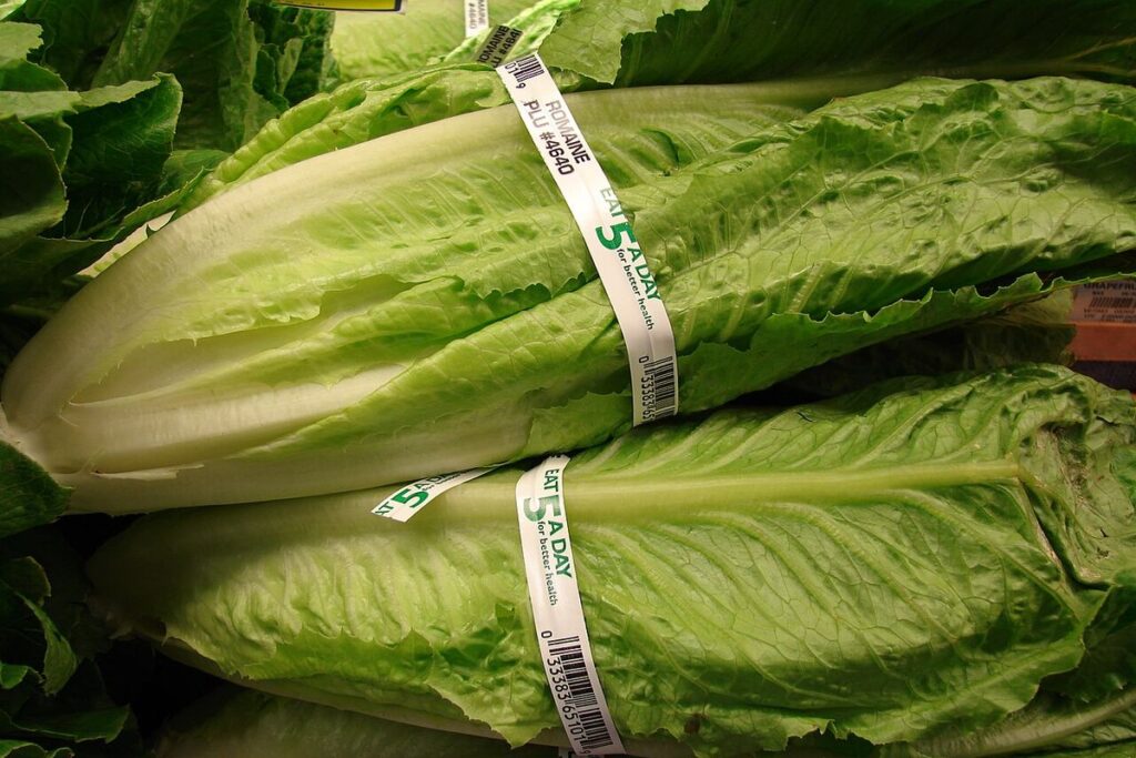 2018: Romaine E. Coli Rampage