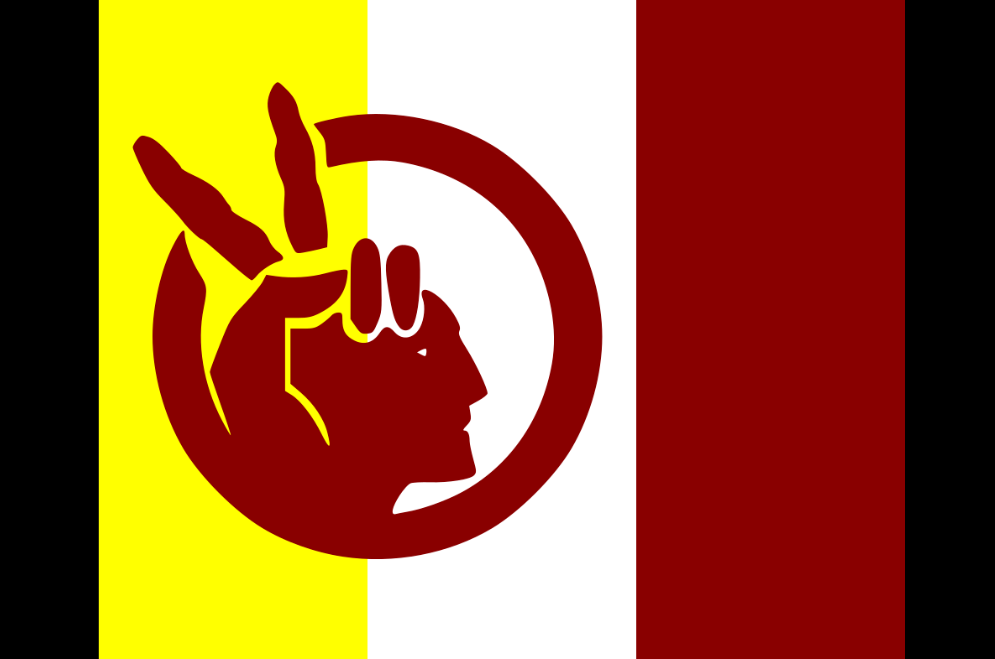 American Indian Movement