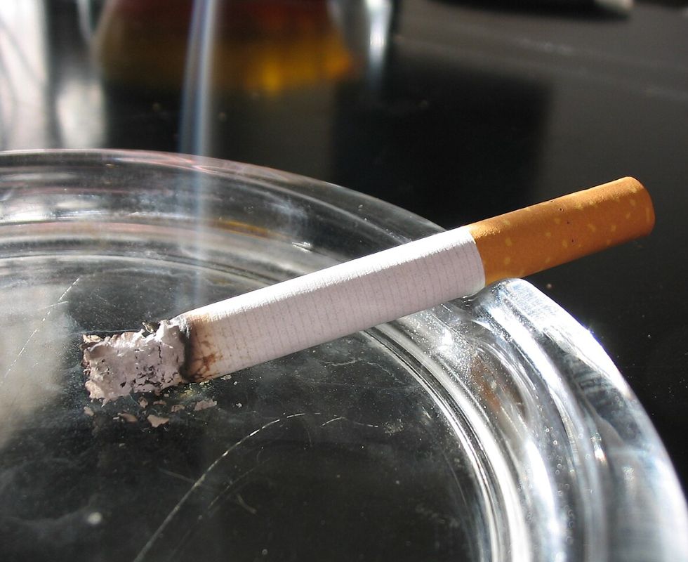 Tomasz Sienicki - Own work, CC BY-SA 3.0 / Wikimedia Commons