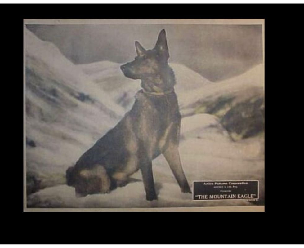 Artlee Pictures Corporation - hitchcock.hu, Public Domain / Wikimedia Commons
