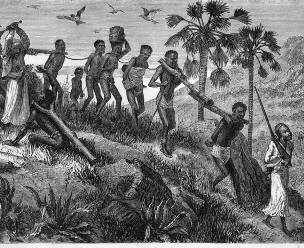 Unknown author, Public Domain / Wikimedia Commons