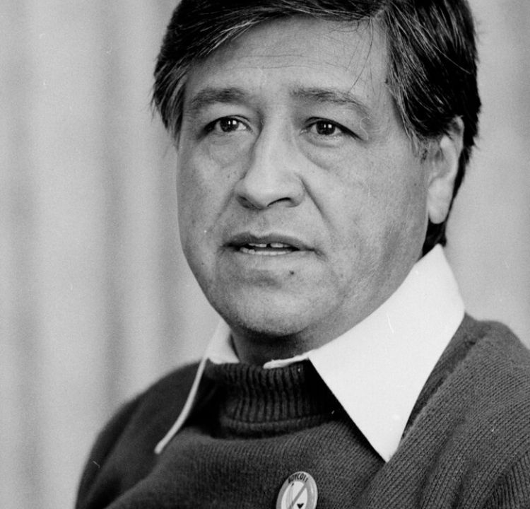 Cesar Chavez's Peaceful Protests