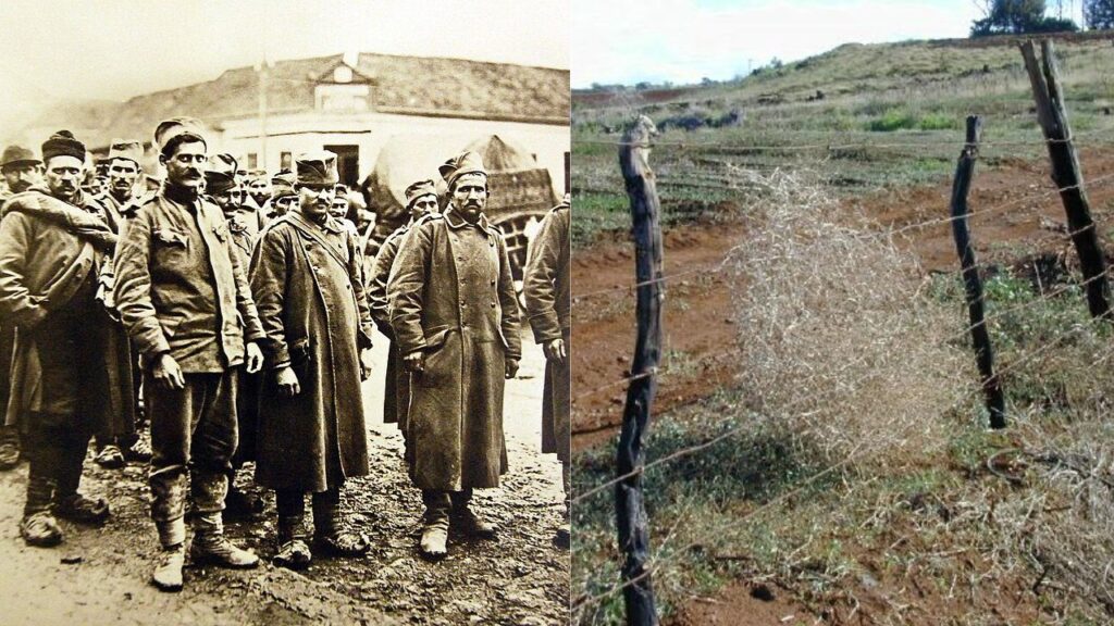 10 Fascinating Stories About America's WW2 Prisoners of War