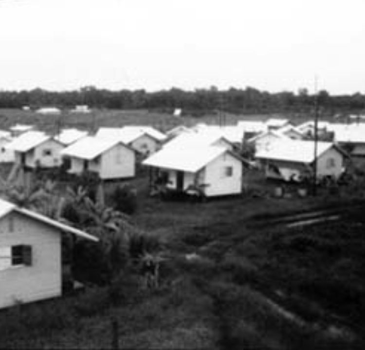 The Jonestown Massacre