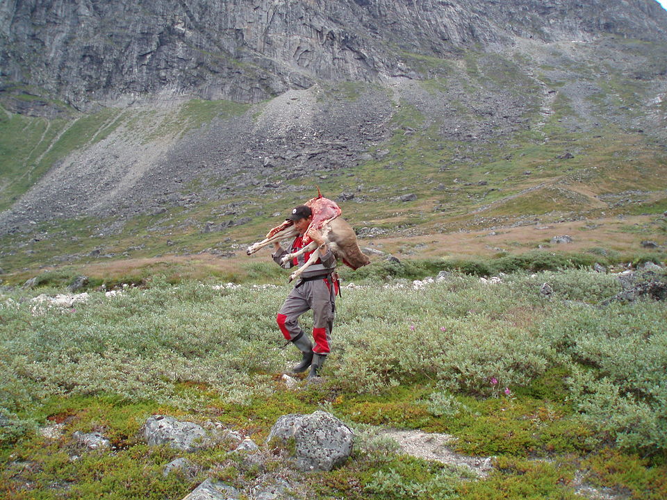 Innovative Hunting Techniques