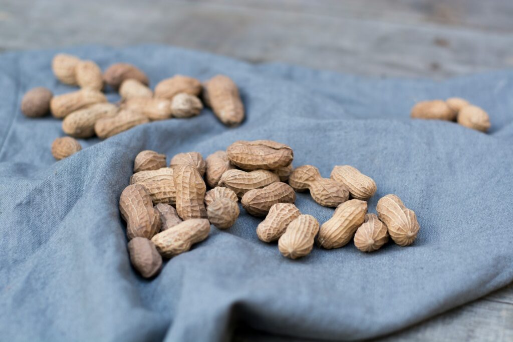 Peanut Farming Roots