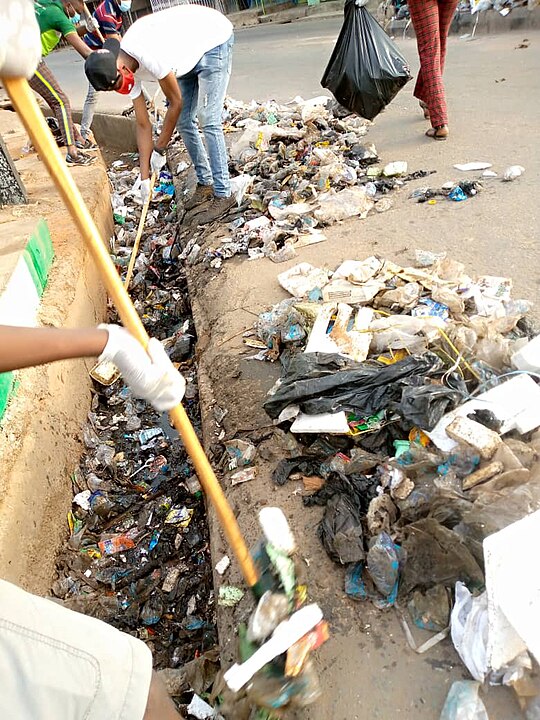 Chemicals and Debris: The Culprits