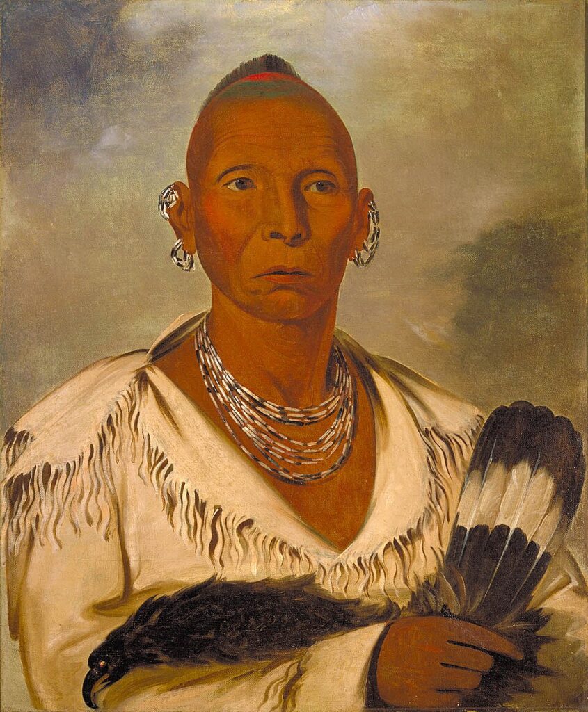 Black Hawk: The Resilient Fighter