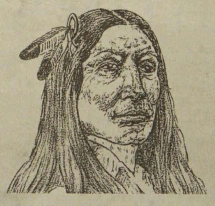 Crazy Horse: The Fearless Warrior