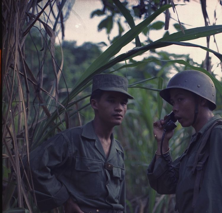 Valor in Vietnam's Jungles