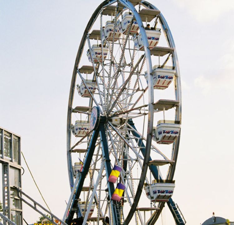 Kentucky State Fair: Bluegrass Agriculture Spotlight
