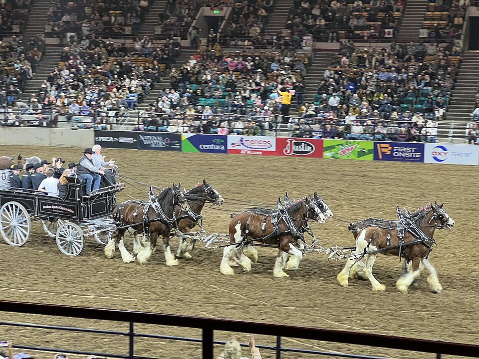 National Western Stock Show: A Denver Tradition