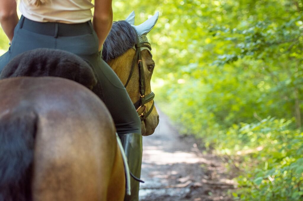 horseback-riding-