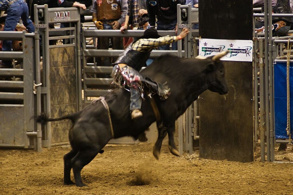 Reno Rodeo: The Wildest, Richest Rodeo