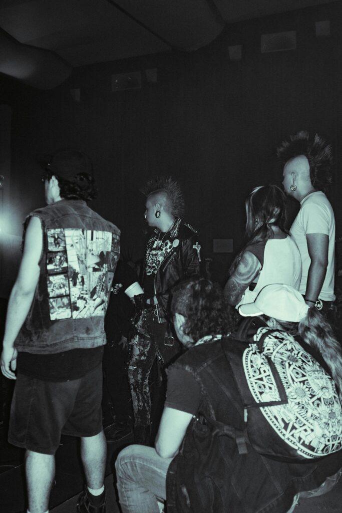 Punk: The Ultimate Rebellion