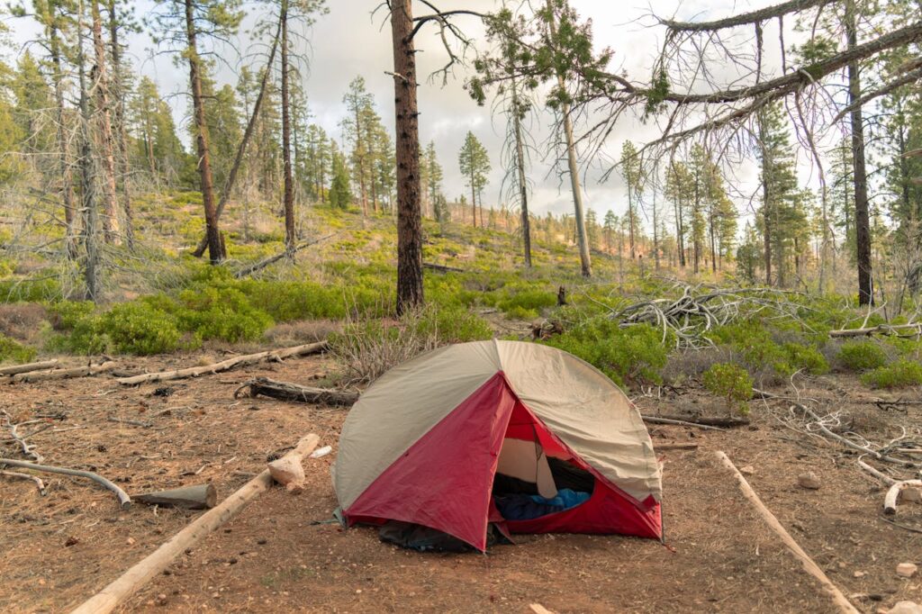 tent
