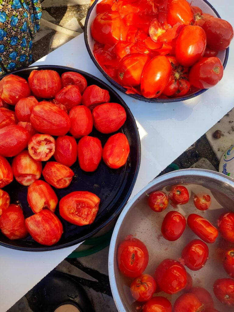 Tomato-Slicing Gizmos