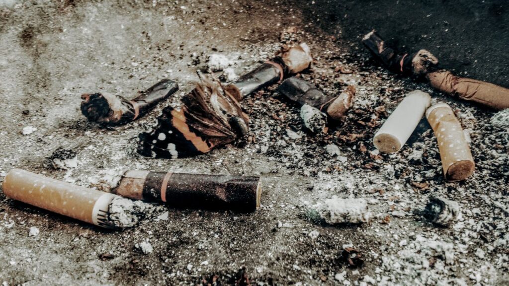 England’s First Thing: Tobacco
