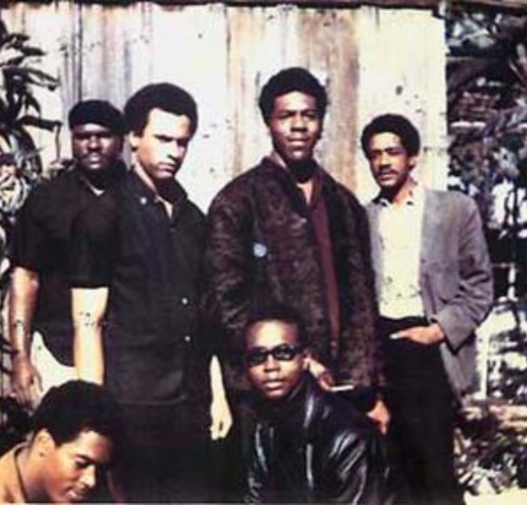 Rise of the Black Panther Party