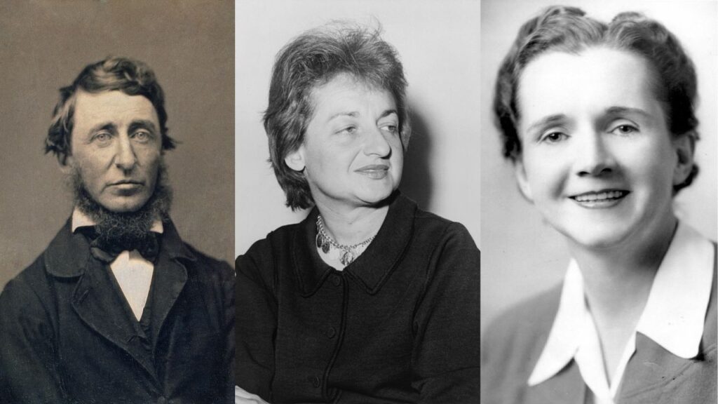 10 American Icons Who Challenged the Norms of Their Time