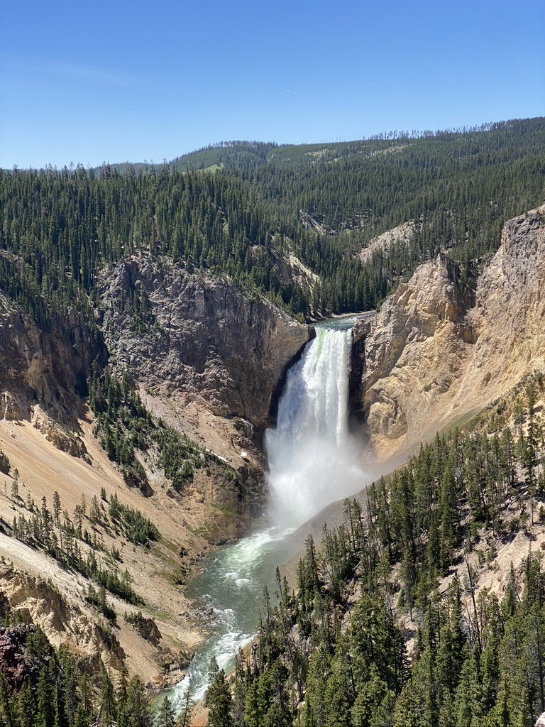 Yellowstone: Preserving the Wilderness